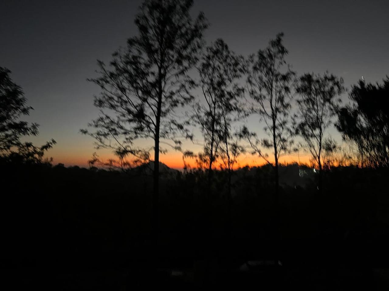 The Clover Resorts Yercaud Extérieur photo
